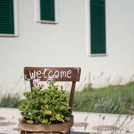 Skrivena Apartament Žuljana